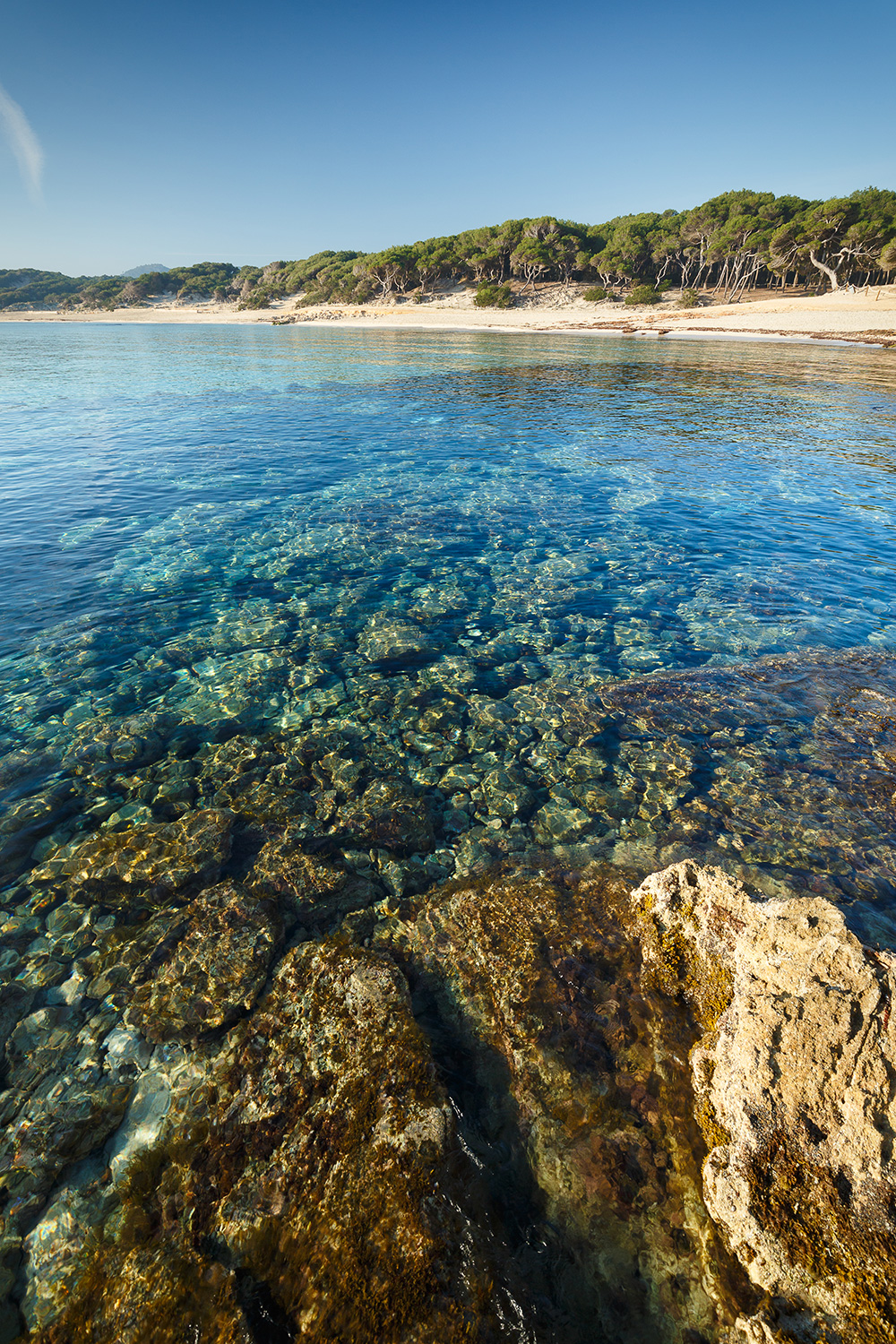 Balearic Sea Report