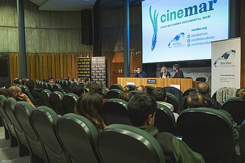 Marilles Fundation - El cinema que acosta la mar a les persones i crea debat