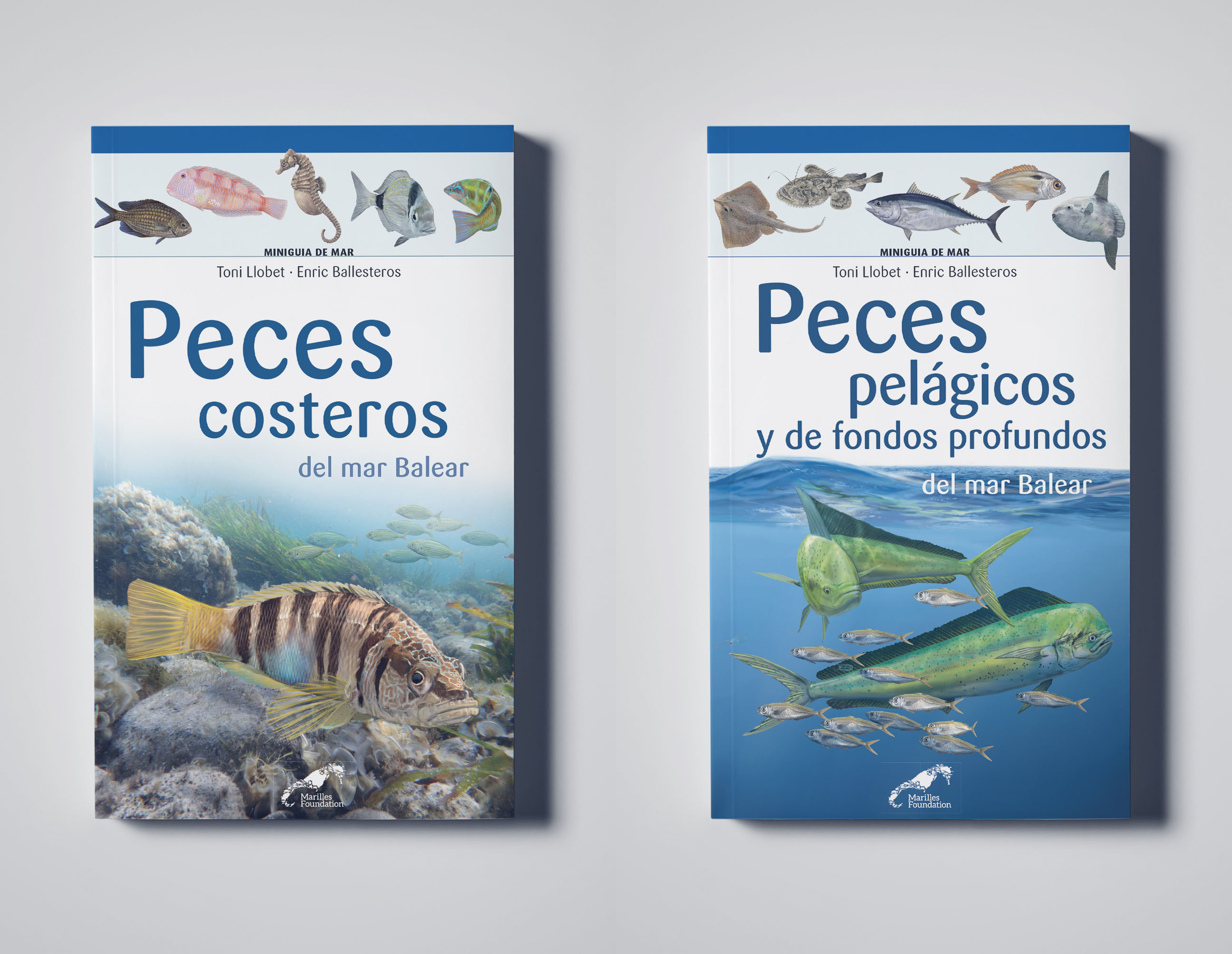 Marine wildlife mini-guides for the Balearic Sea