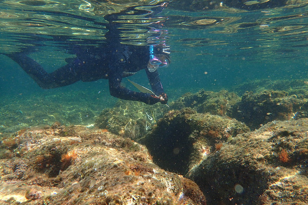 Un nuevo proyecto evalúa la calidad de las aguas de baño en Menorca