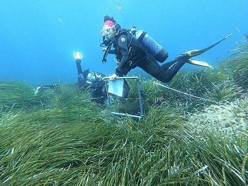 Marilles Fundation - Ampliamos la comunidad de Observadores del Mar