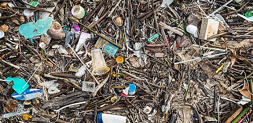 Marilles Fundation - Five entities in Menorca unite to fight against plastics