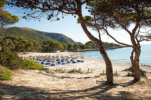 Nou pacte blau per a Balears