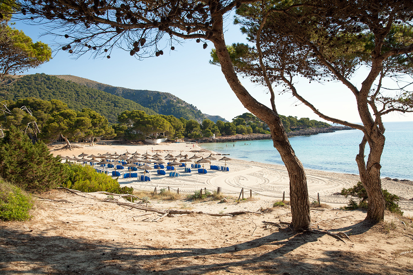 Nou pacte blau per a Balears