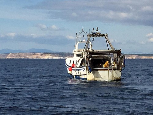 Balears perd una altra oportunitat de liderar en pesca sostenible