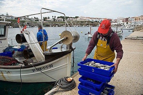 Fish that is fresh, local, seasonal and sustainable