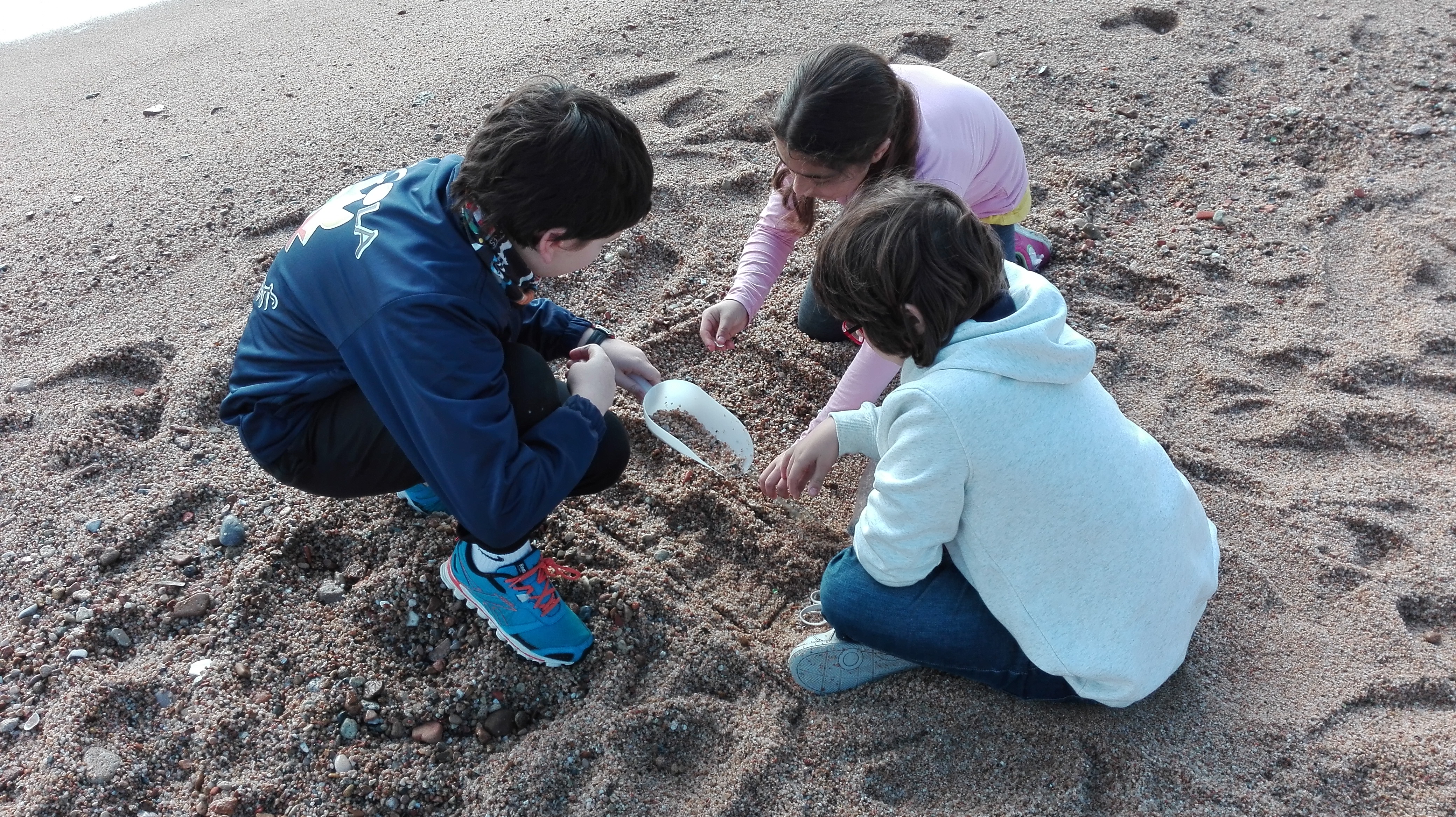 Los escolares informarán de la presencia de microplásticos