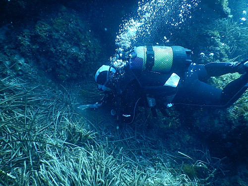 Marilles Fundation - Pressure on marine environment