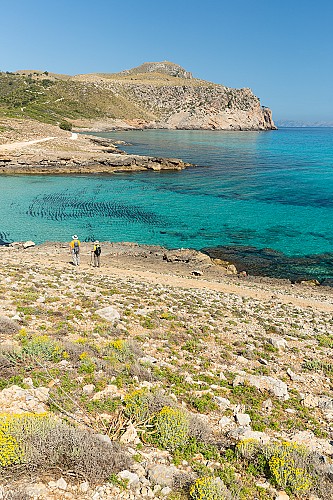 Marilles Fundation - 10 EUR of benefit for every euro invested in the MPA of Llevant (Mallorca)