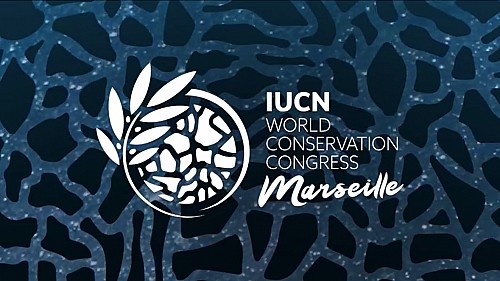 Marilles en el World Conservation Congress
