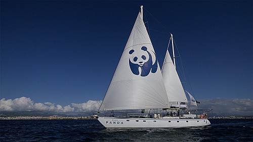 El velero de WWF Blue Panda concluye su expedición en Baleares