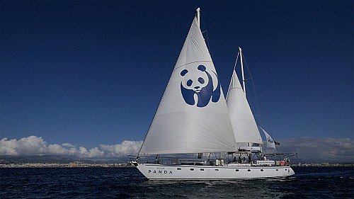 El velero de WWF Blue Panda concluye su expedición en Baleares