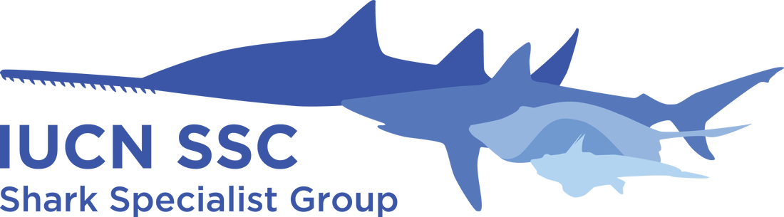 Marilles Foundation - Collaborators