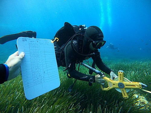 Marilles Fundation - Observadores del Mar: la plataforma de referencia