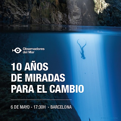 Marilles Fundation - 10 years of marine citizen science