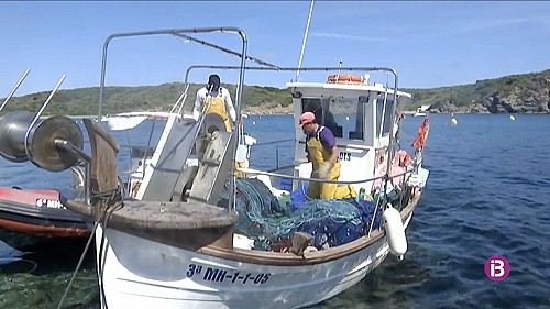 Marilles Fundation - La inspecció de pesca a Menorca és inoperativa.