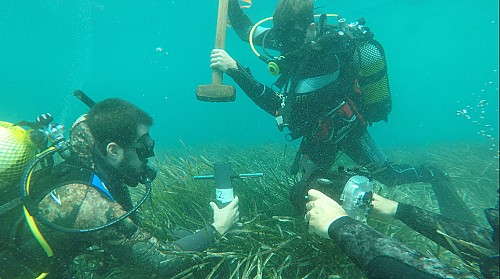 Posidonia in Calvià: thousands of years providing services