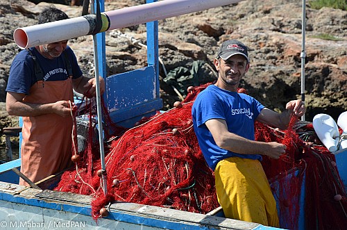 Baleares, la capital de las áreas marinas protegidas del Mediterráneo