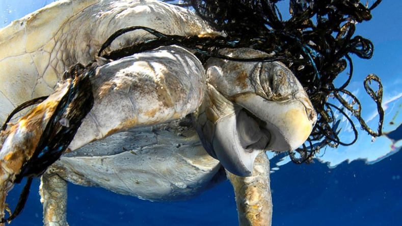 Tackle ghost fishing