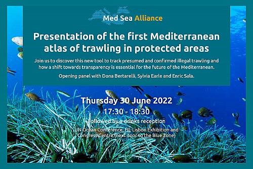 Marilles Fundation - El primer Atlas Mediterráneo de la pesca de arrastre