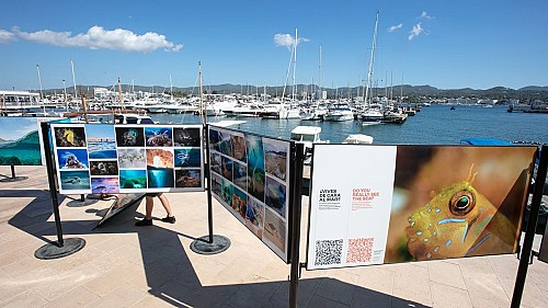 Marilles Fundation - Una exposición para defender el mar de Ibiza