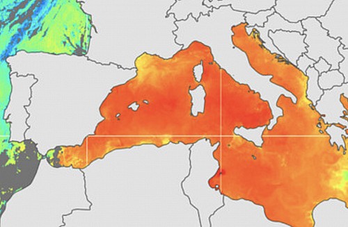 Marilles Fundation - La anomalía térmica en el Mediterráneo traerá fenómenos extremos y muerte de especies