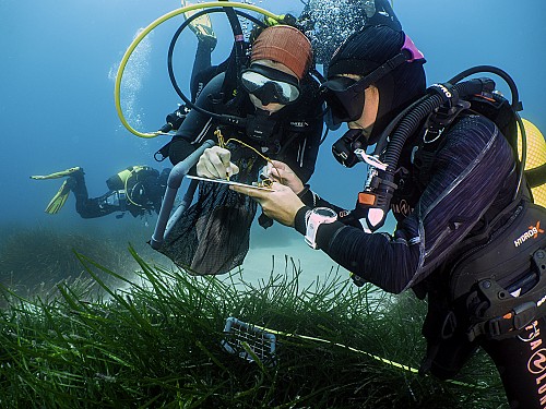 Marilles Fundation - Scientific diving course for volunteers