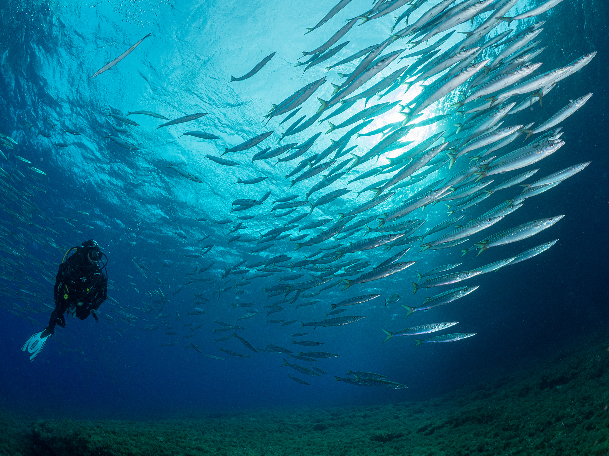 Más áreas marinas protegidas