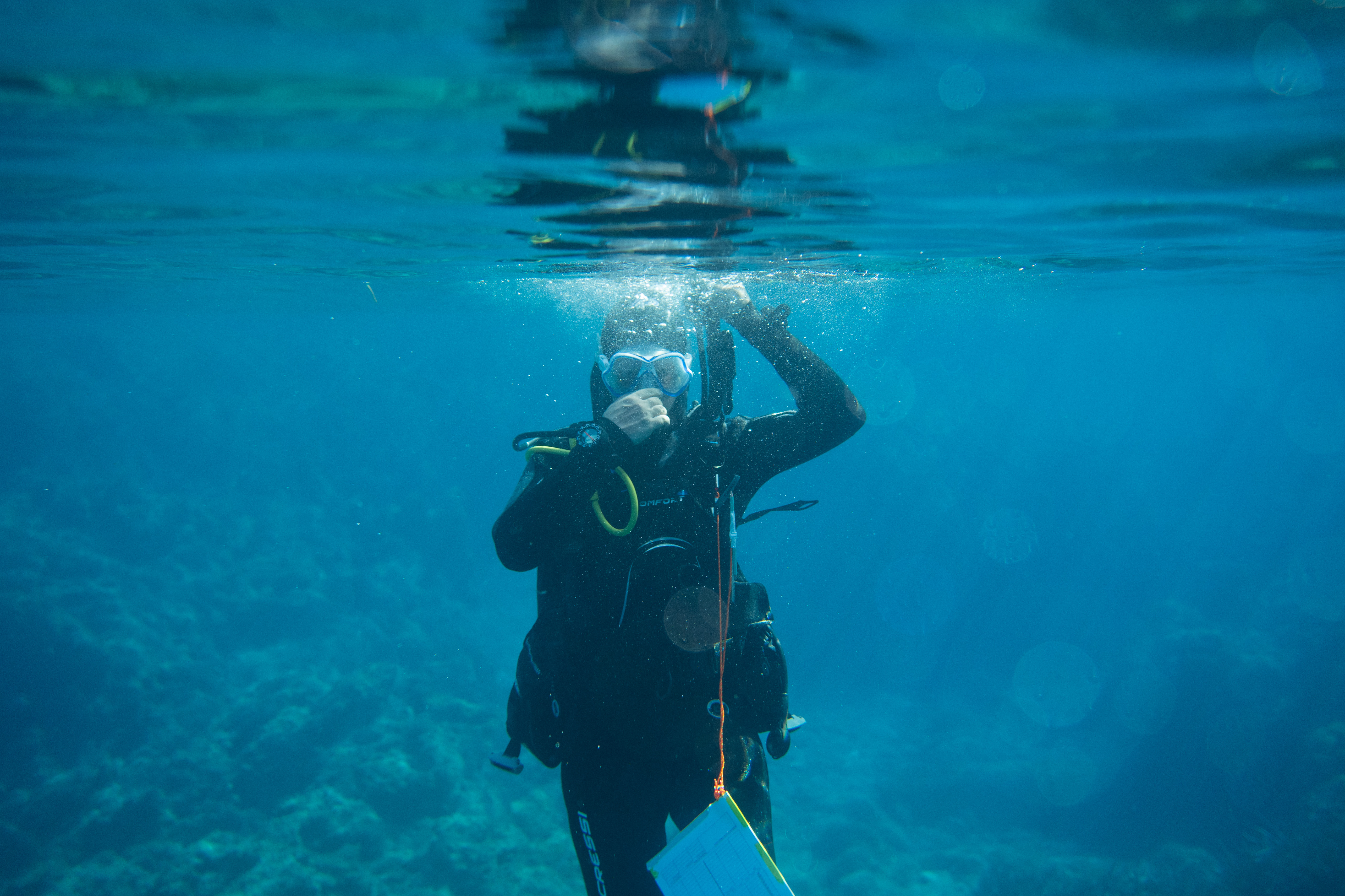 Menorca conecta con la ciencia ciudadana