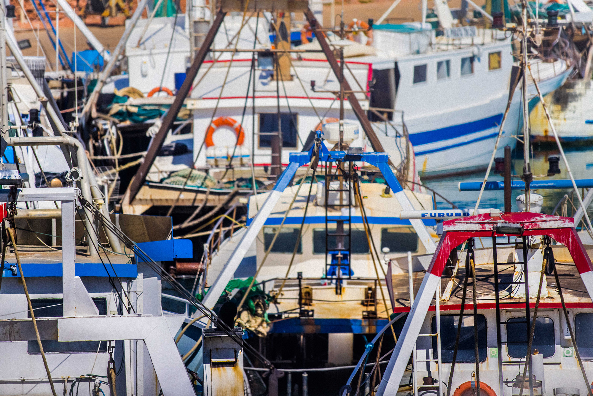 Detenir la pesca il·legal al Mediterrani.