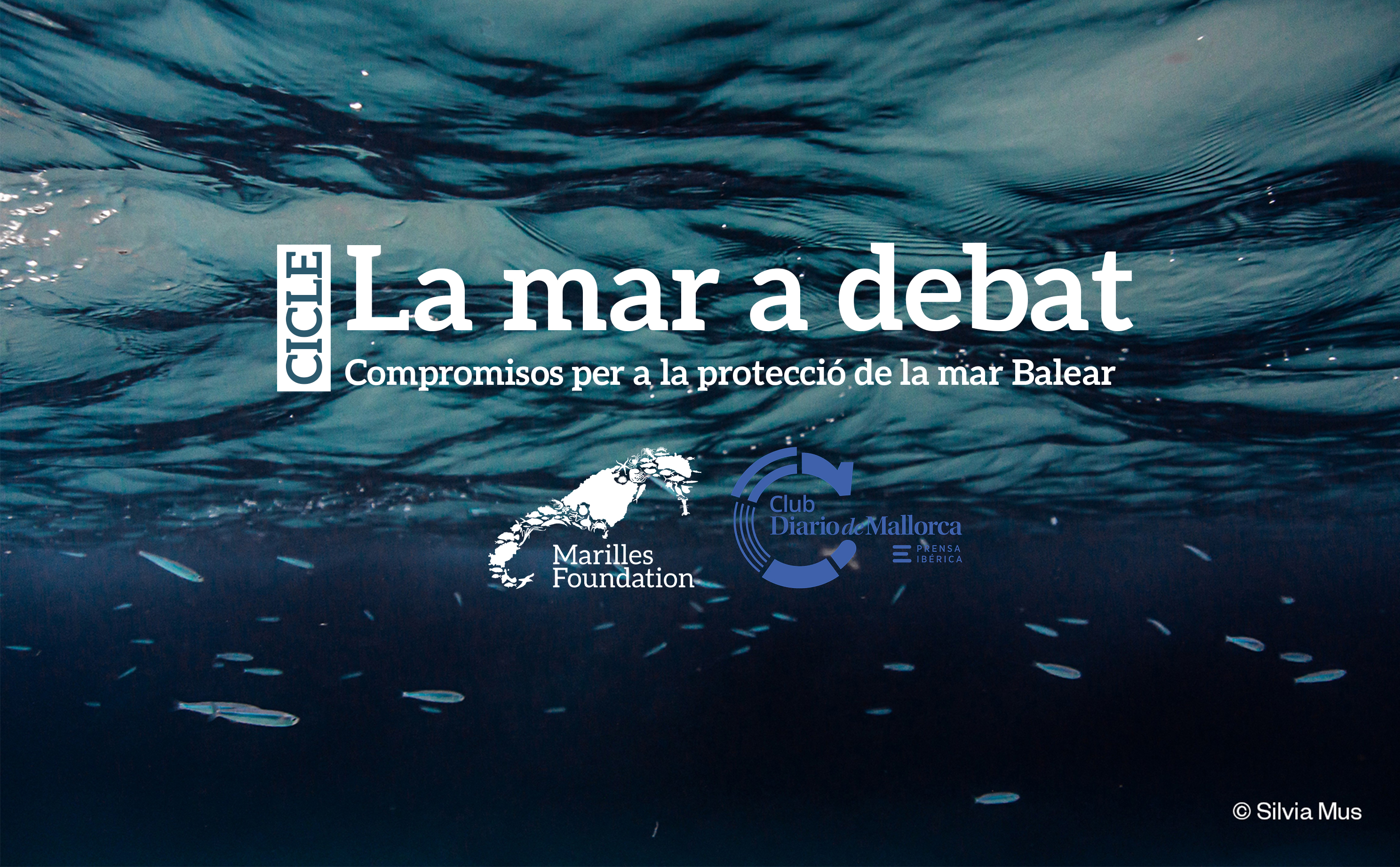 Pescadores, empresarios, políticos, clubs náuticos y ciudadanía organizada buscan soluciones para conservar el mar Balear