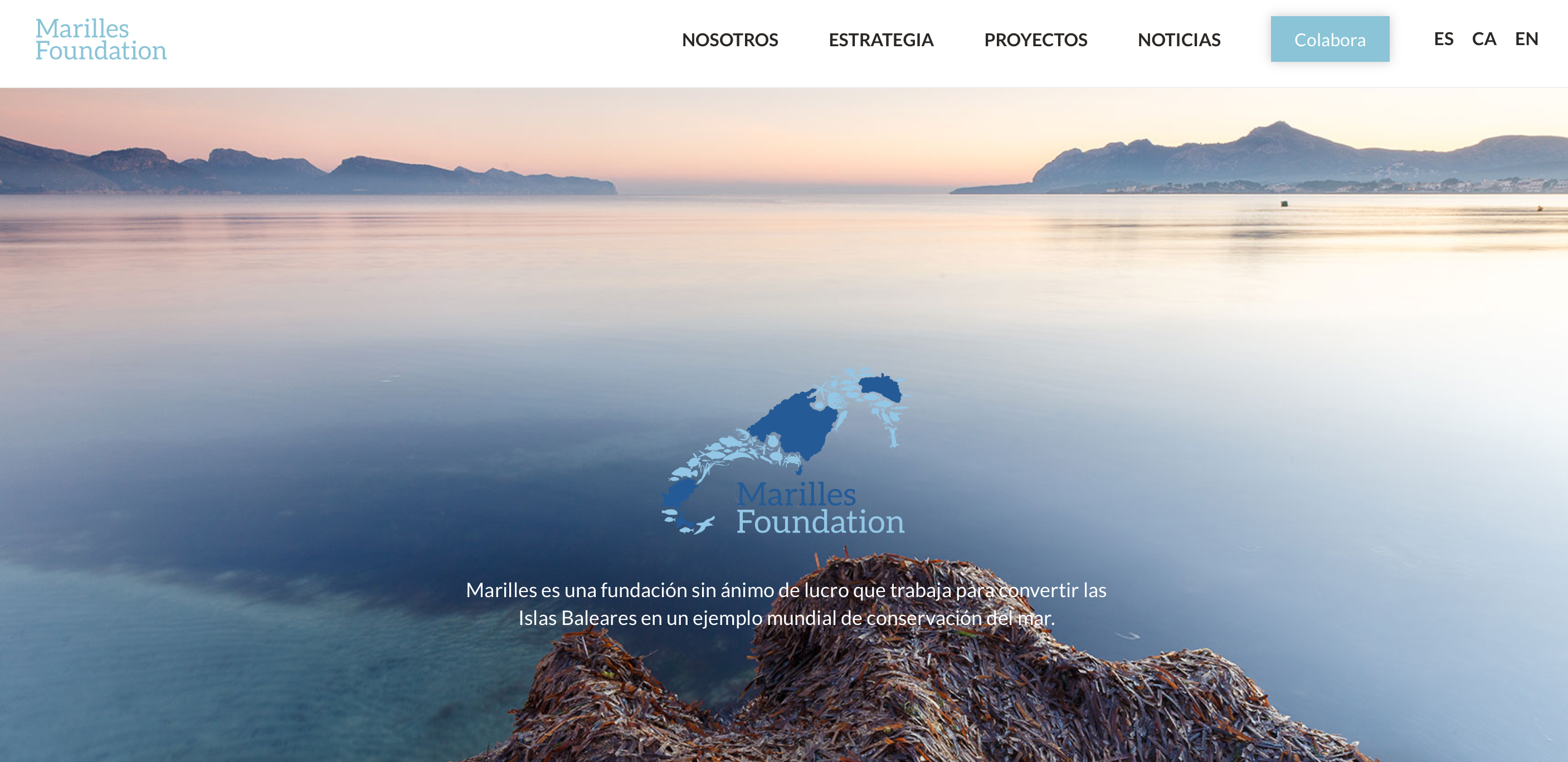 Buscamos agencia de diseño y desarrollo de páginas web