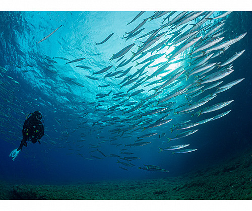 Marilles pide unos presupuestos que miren al mar