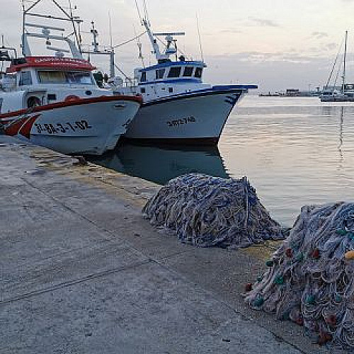 Marilles Fundation - El Foro Científico para la Pesca Española en el Mediterráneo