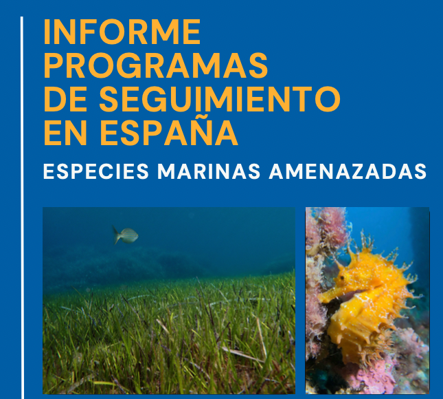 Observadores de Mar reveals that only 13% of endangered marine species in the Balearic Islands are being monitored