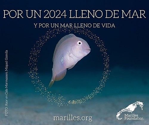 Per un 2024 ple de noves experiències, i per una mar plena de vida! 