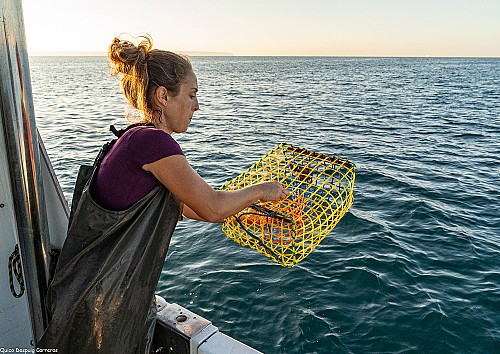 "La ciència i la pesca poden fer feina juntes per gestionar els recursos de manera sostenible"