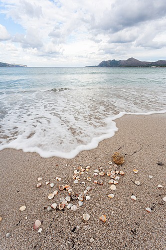 Marilles Fundation - Conservació de badies somes: Pollença i Portocolom