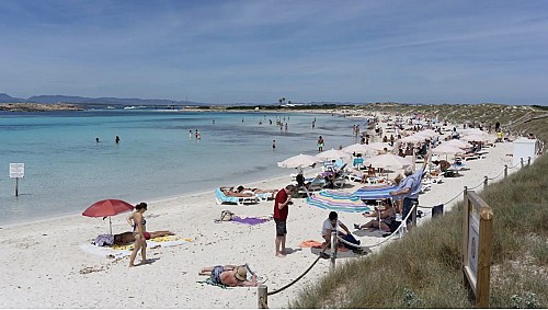 Marilles Fundation - Adiós a la arena de las playas, a refrescarse en el agua… y a la posidonia: así está cambiando el mar Mediterráneo