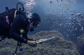 Observadores del Mar invites citizens to investigate the impact of climate change in the Mediterranean