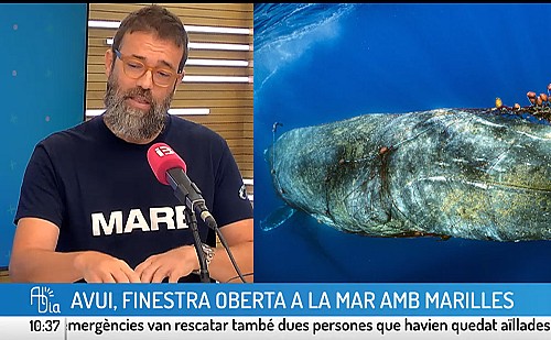 Una finestra a la mar