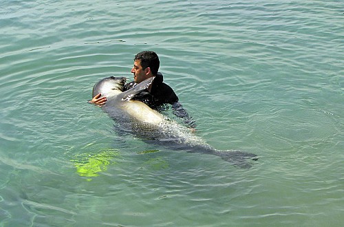 "Si tienes espacios marinos protegidos, en tres años tendrás más peces, y pescarás de forma sostenible para el resto de tu vida"