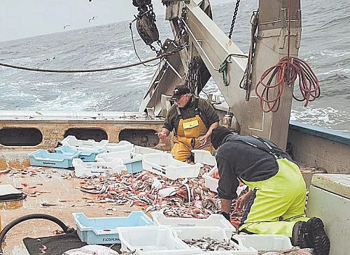 Marilles Fundation - Pescadores de Baleares contra el acuerdo de la UE: "No podemos gastar 70.000 euros en puertas voladoras"