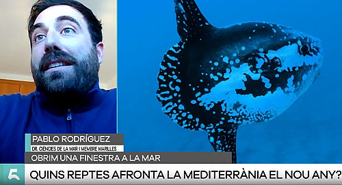 Marilles Fundation - Pablo R. Ros: Els reptes de la Mar Mediterrània per a 2025