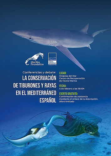 Conservación de tiburones y rayas en el Mediterráneo español