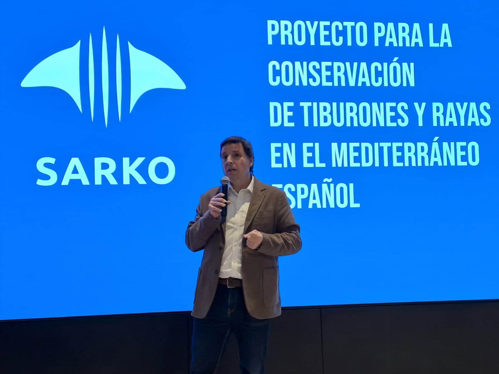 La Fundación Marilles lidera SARKO, un proyecto pionero para la conservación de tiburones y rayas en el Mediterráneo español