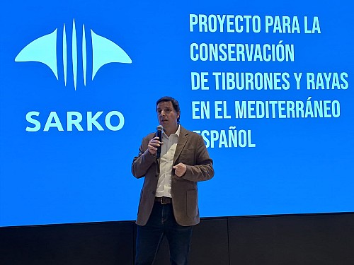 Marilles Fundation - Marilles leads SARKO, a pioneering project for the conservation of sharks and rays in the Spanish Mediterranean Sea