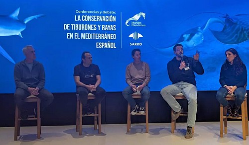 Marilles Fundation - Presentan en Orpesa un proyecto pionero para conservar tiburones y rayas