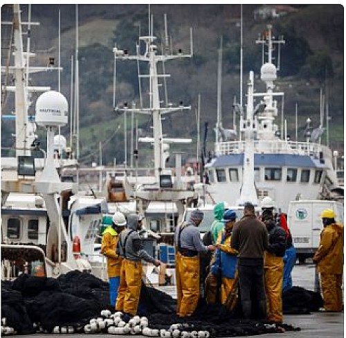 Marilles Fundation - Españoles en la mar: Marilles lidear el proyecto SARKO