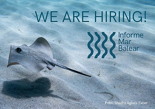 Marilles Fundation - OFERTA DE FEINA: Investigador/a per a l'Informe Mar Balear
